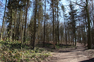 Anstieg am Nordhang zum Kammweg