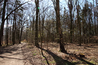 Kammweg, Blick nach Südwesten …