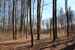 Kammweg, weiter südlich, Blick nach Südosten