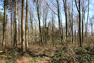 Kammweg, noch weiter südlich, Blick auf Benthe