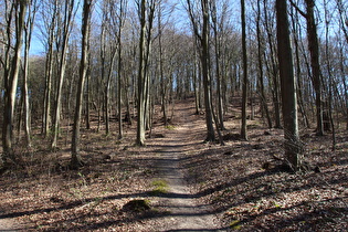 am Osthang, Blick zum Gipfel …