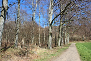 oberhalb von Everloh, Blick Richtung Gipfel