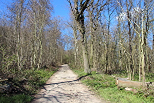 Anstieg zum Hochbehälter, unterer Bereich