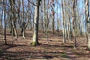 Ansteig nördlich des Hochbehälters, Blick nach Nordwesten …