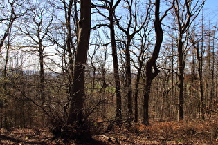 Gipfelbereich, Blick nach Südwesten …