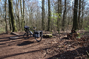 „Dach der Tour“: Benther Berg, Gipfel