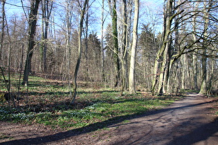 Ostflanke, Blick nach Norden