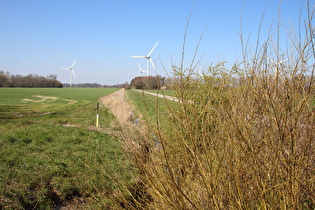 … und Blick flussabwärts