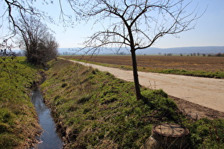 … und Blick flussaufwärts