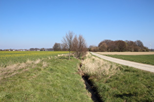 … Blick flussabwärts auf Eckerde, …