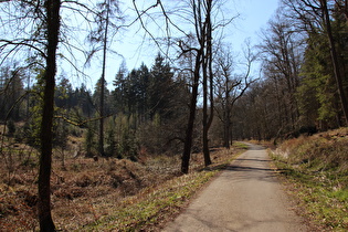 zwischen Barsinghausen und Kammweg, Blick bergauf