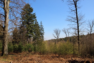 etwas weiter oben, Blick nach Süden