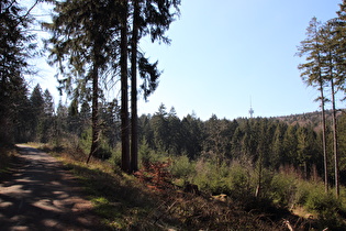 ein Stück weiter, Blick zum Großen Hals