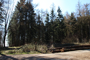 Kammweg am oberen Ende des Anstiegs von Barsinghausen