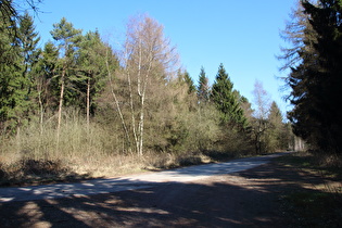 Kammweg zwischen Alte Taufe und Reinekensiekskopf, Blick nach Südosten