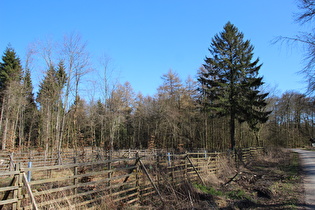 Kammweg beim Reinekensiekskopf, Blick nach Südosten, …