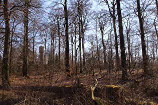 … Blick zum Nordmannsturm auf dem Reinekensiekskopf …