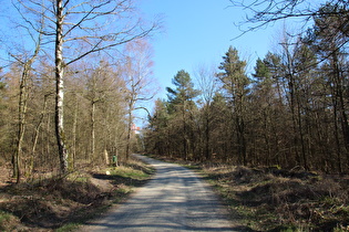 Kammweg zwischen Hoher Warte und Höfeler, Blick zum Höfeler …