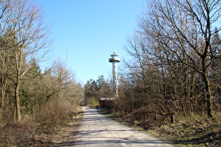 Kammweg zwischen Stern und Bröhn, Blick zum Annaturm auf der Bröhn