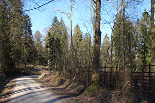 obere Kehre im Verlauf des Bierwegs