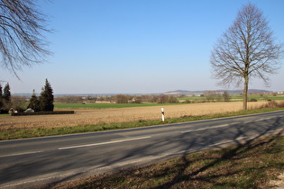 zwischen Wennigser Mark und Degersen, Blick nach Nordosten