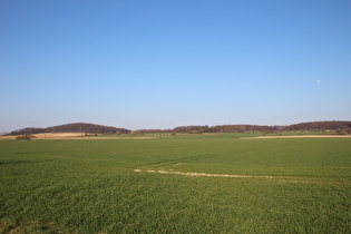 zwischen Redderse und Ditterke, Blick zum Gehrdener Berg