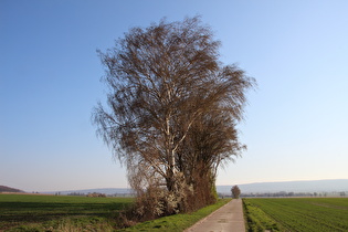 etwas weiter, Blick nach Süden