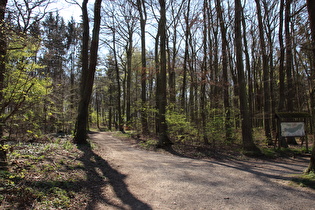 Benther Berg, Nordhang, erster Anstieg der Tour