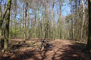 erster Sattelpunkt der Tour auf dem Benther Berg