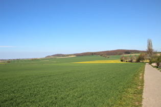 östlich von Degersen, Blick zum Gehrdener Berg