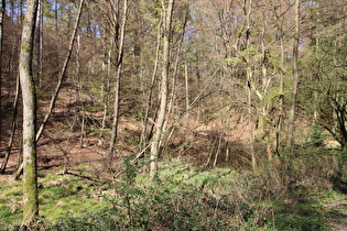 ein vom Bruchbach durchflossener Teich im Deister