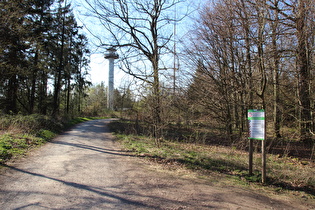 Kammweg zwischen Müllers Höh und Bröhn, Blick zum Annaturm auf der Bröhn