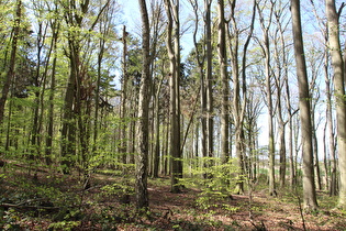 im ersten Anstieg der Tour, Blick nach Westen