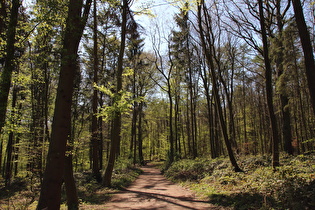 … Blick nach Südwesten …