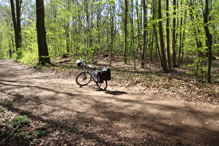 erster Sattelpunkt der Tour auf dem Benther Berg