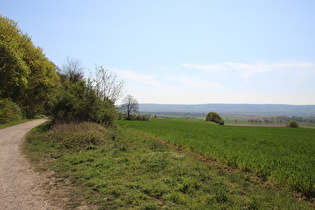 wenige Meter weiter südlich, Blick nach Südwesten zum Deister