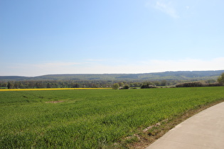 zwischen Degersen und Wennigser Mark, Blick zum Deister