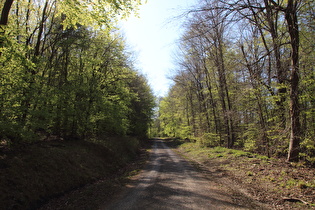 weiter oben, Blick bergauf