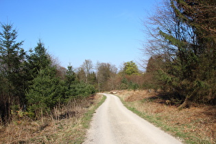 Hohe Warte, Blick nach Nordosten