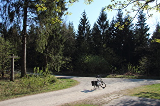 Hohe Warte, Blick auf den Kammweg