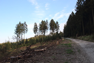 … und Blick Richtung Müllers Höh