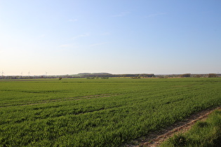 … und Blick nach Nordwesten zum Stemmer Berg