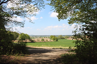 Benther Berg, Westhang, Blick nach Westen