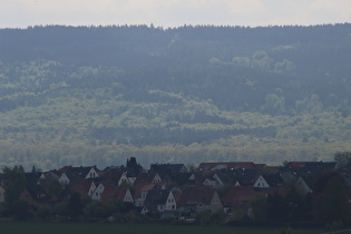 Zoom auf die Hirschköpfe