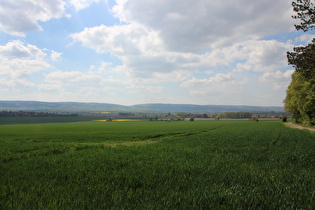 Gehrdener Berg, Westhang, Blick nach Westen zum Deister