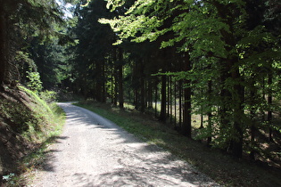 Kehre oberhalb der Wasserräder