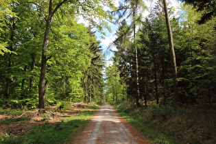 etwas weiter, Blick nach Südosten …