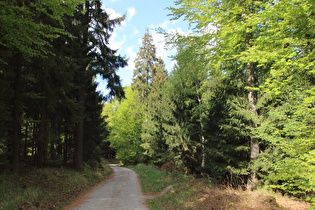 unterhalb der Hirschköpfe, Blick bergab