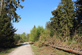 Hohe Warte, Blick nach Nordosten