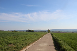 zwischen Redderse und Ditterke, Blick nach Süden …